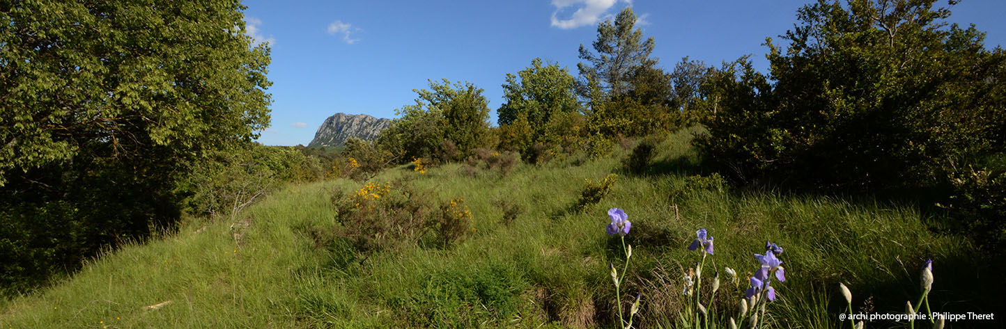 pano pic et fleur iris